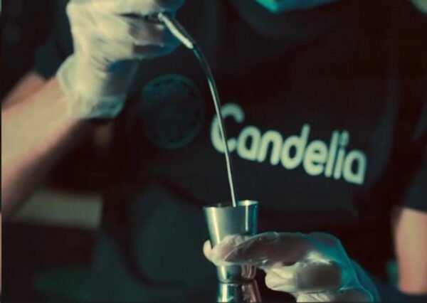 candelia - Our Work 3