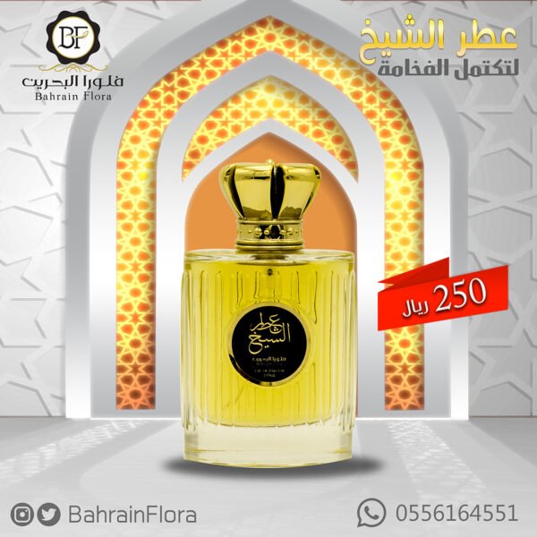 flira2 - أعمالنا 63